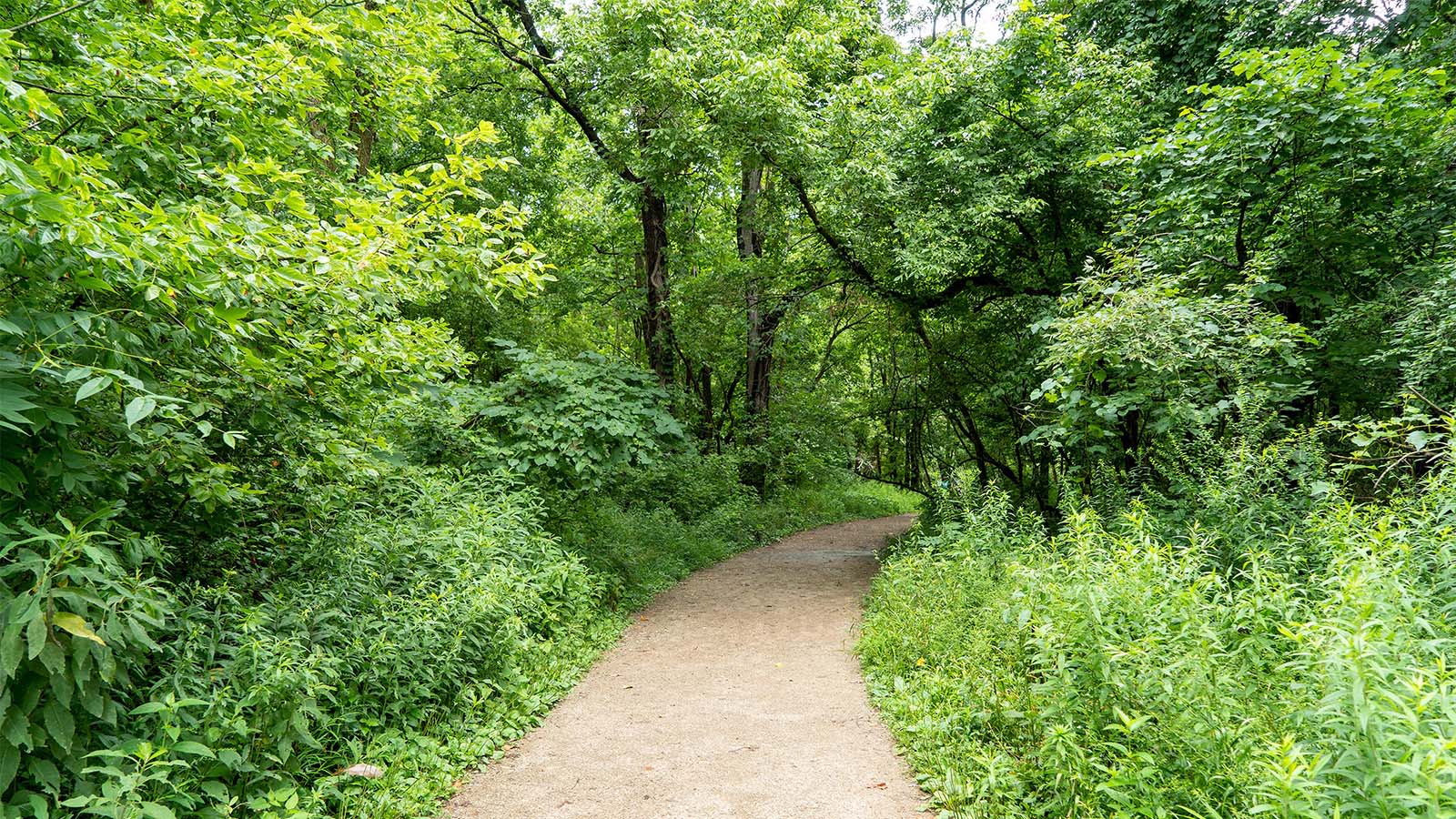 Camp Creek Trail - Visit Lawrence